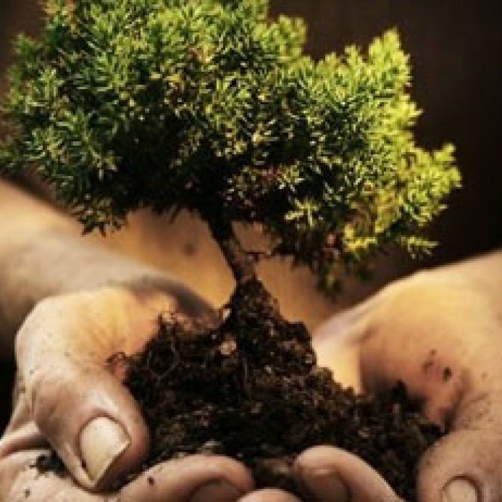 seminariodendrokomias_160526