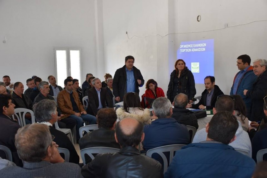 imerida_palaiokatouna_170329